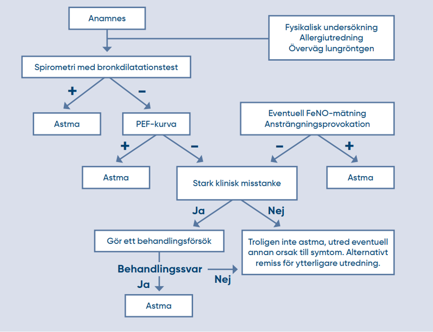 Flödesschema om utredning vid misstanke om astma